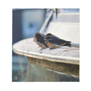 Zwaluw vogeltjes die op een lijn zitten in de have notitieblok