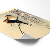 Zwaluwen met Kersenbloesems - Ohara Koson Poster (Hoek)