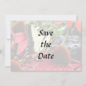 Zwaluwstaart op rode Echinacea Save The Date (Achterkant)