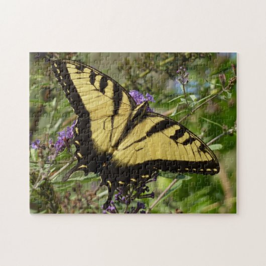 Zwaluwstaart op vlinderstruik legpuzzel (Horizontaal)