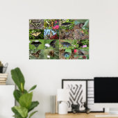 Zwaluwstaarten van het zuidoosten poster (Thuiskantoor)