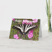 Zwaluwstaartvlinder Foto Pensioenkaart Kaart (Voorkant)