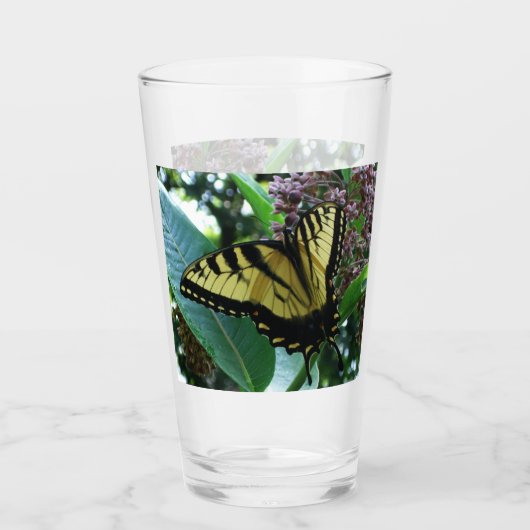 Zwaluwstaartvlinder I op Zijdeplant bij Shenandoah Glas (Voorkant)