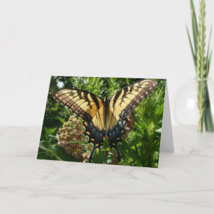 Zwaluwstaartvlinder III Mooie Kleurrijke Foto Kaart