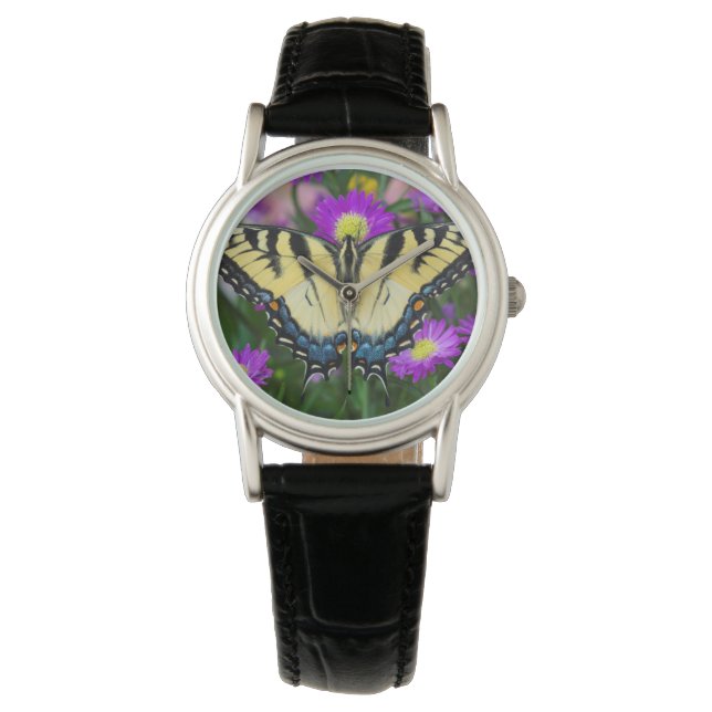 Zwaluwstaartvlinder op madeliefje horloge (Voorkant)