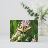 Zwaluwstaartvlinder op paarse wilde bloemen (Staand voorkant)