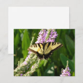 Zwaluwstaartvlinder op paarse wilde bloemen (Voorkant / Achterkant)