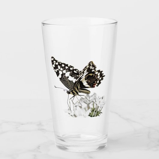 Zwaluwstaartvlinder op wit glas (Voorkant)