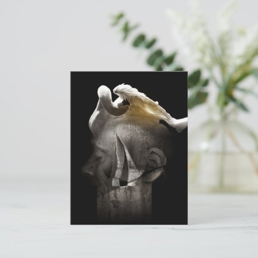 Zwan 2013 briefkaart (Staand voorkant)