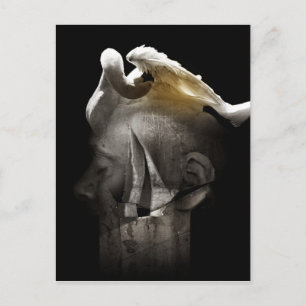 Zwan 2013 briefkaart