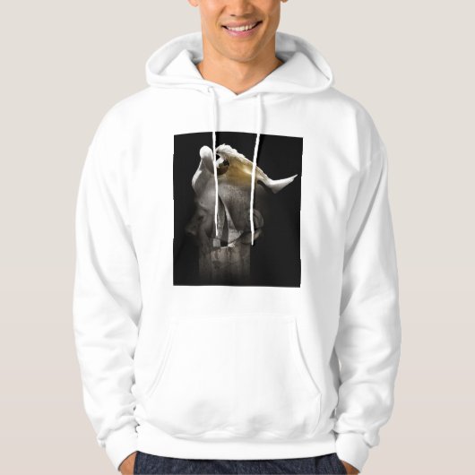 Zwan 2013 hoodie (Voorkant)