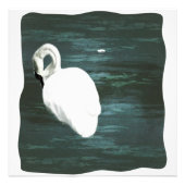 Zwan bij de Pond Foto Afdruk (Voorkant)