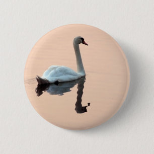 Zwan bij Sunset Button