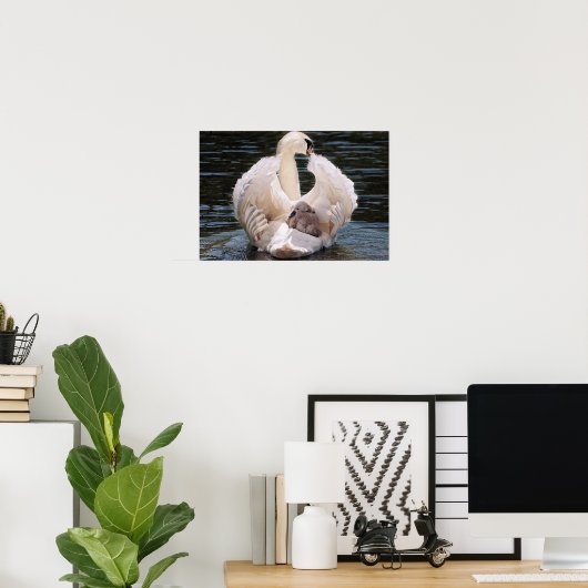Zwan & Cygnets Poster (Thuiskantoor)