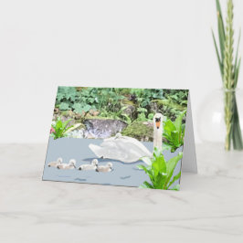 Zwan en Cygnets Blank Kaart