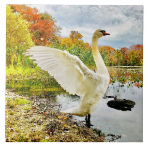 Zwan en Herfst Keramische Tegel Tegeltje