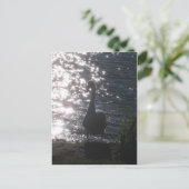 Zwan in het avondlicht Briefkaart (Staand voorkant)