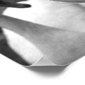 Zwan in het park op Barry Island Poster (Hoek)