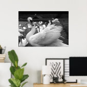 Zwan in het park op Barry Island Poster (Thuiskantoor)