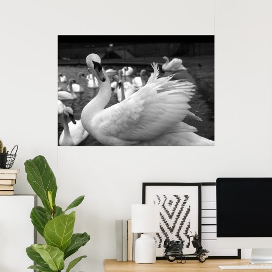 Zwan in het park op Barry Island Poster (Thuiskantoor)
