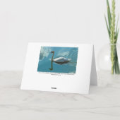 Zwan met denkbeelden over wolken kaart (Achterkant)