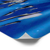 Zwan met reflecties poster (Hoek)