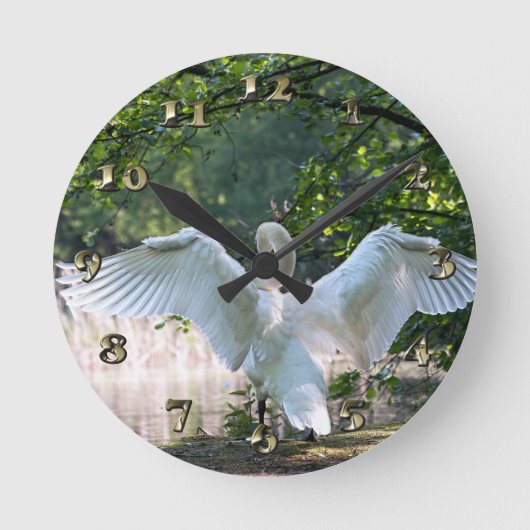 Zwan met Wings Spread Ronde Klok (Voorkant)
