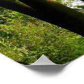 Zwan op de rivier II Poster (Hoek)