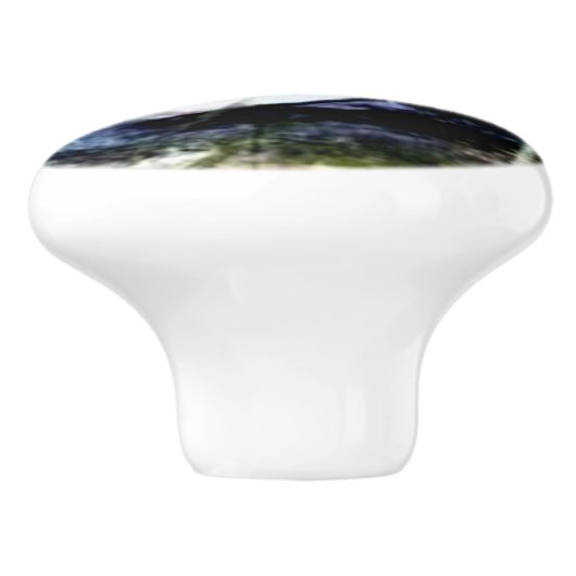 Zwan op het meer . . . keramische knop (Zijkant)