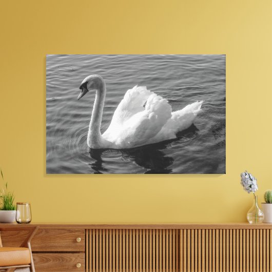 Zwan. Roath Park Lake, Cardiff, Wales B&W Canvas P (Insitu (Woonkamer))