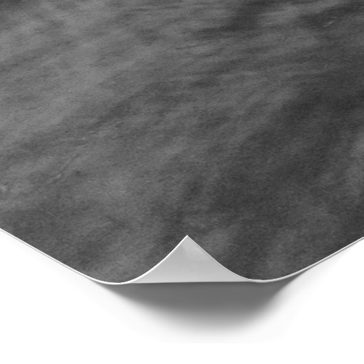 Zwan. Roath Park Lake, Cardiff, Wales B&W Poster (Hoek)