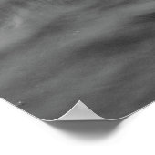 Zwan. Roath Park Lake, Cardiff, Wales B&W Poster (Hoek)