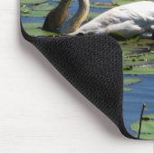 Zwand en cygnets muismat (Hoek)