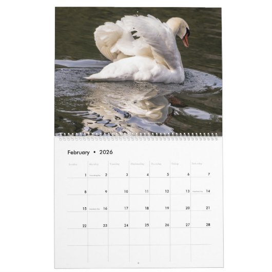 Zwanen 2024 kalender (Feb 2026)