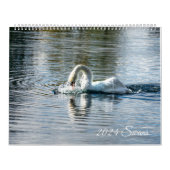 Zwanen 2024 kalender (Hoes)
