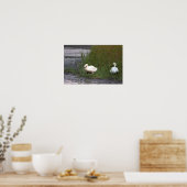 Zwanen bij de moerasposter poster (Keuken)