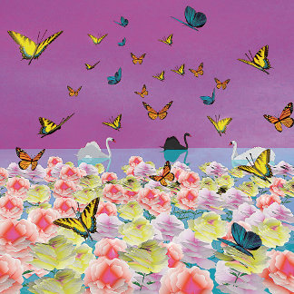 Zwanen bij Sunset Poster