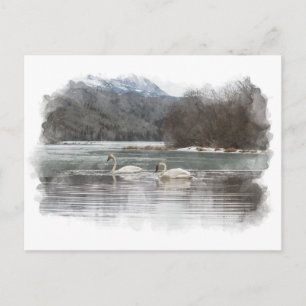 Zwanen Briefkaart