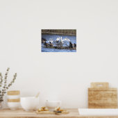 Zwanen en Canadese Ganzen Poster (Keuken)