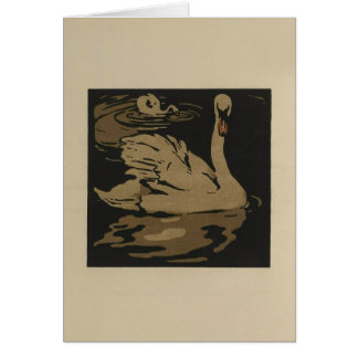 Zwanen en hun reflecties