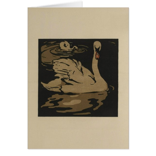 Zwanen en hun reflecties (Voorkant)