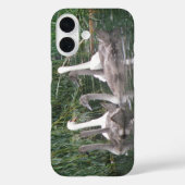 Zwanen en jonge zwanen Case-Mate iPhone case (Achterkant)