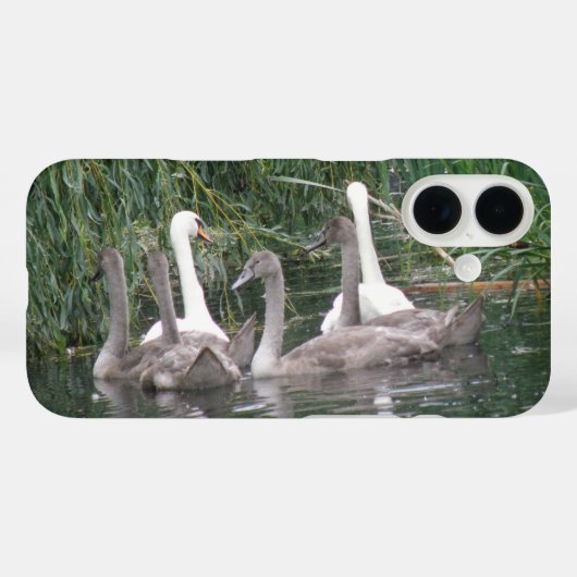 Zwanen en jonge zwanen Case-Mate iPhone case (Achterkant (horizontaal))