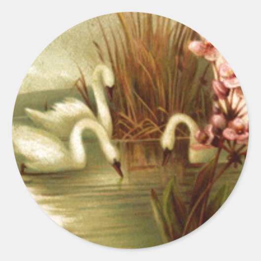 zwanen envelop afdichting Sticker (Voorkant)