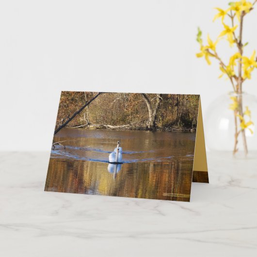 Zwanen in de Herfst Kaart (Gele Bloem)