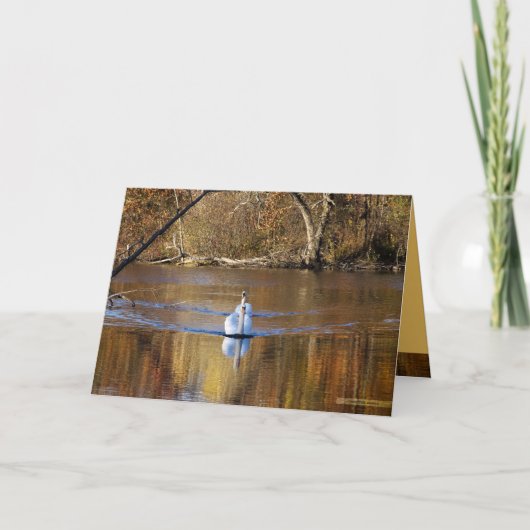 Zwanen in de Herfst Kaart (Voorkant)