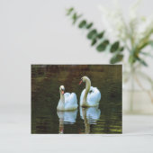 Zwanen in de liefde Briefkaart (Staand voorkant)