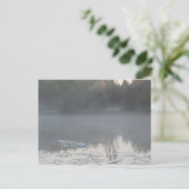 zwanen in de mist briefkaart (Staand voorkant)