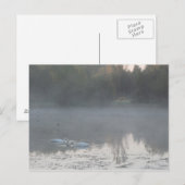 zwanen in de mist briefkaart (Voorkant / Achterkant)