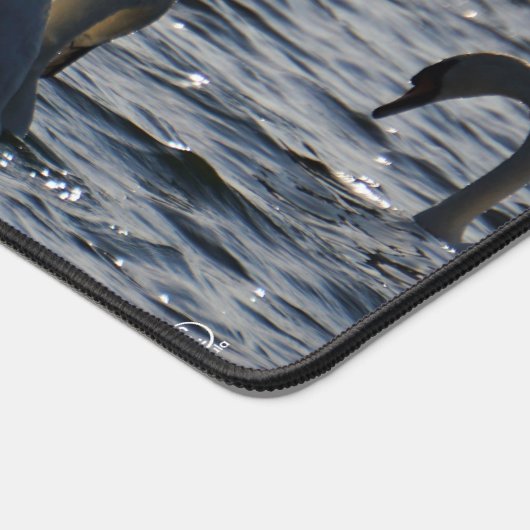 Zwanen in een groep op het water met glinsterend z bureaumat (Hoek)